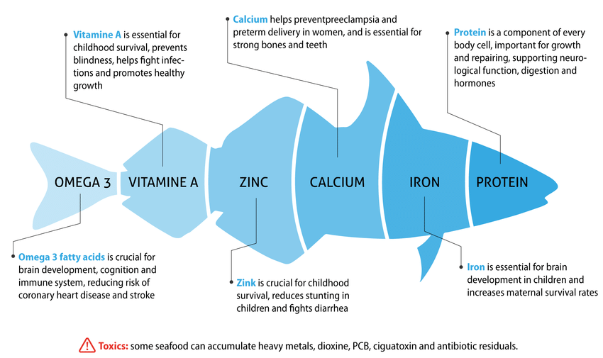 fish benefits