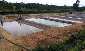 Natural fresh water fish farming